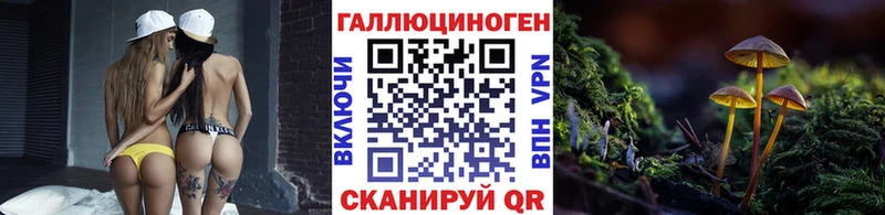 MEGA как войти  Всеволожск  Псилоцибиновые грибы GOLDEN TEACHER  купить наркотики цена 